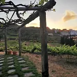 Casa Entre Vinedos * Santa-Cruz de Ténérife