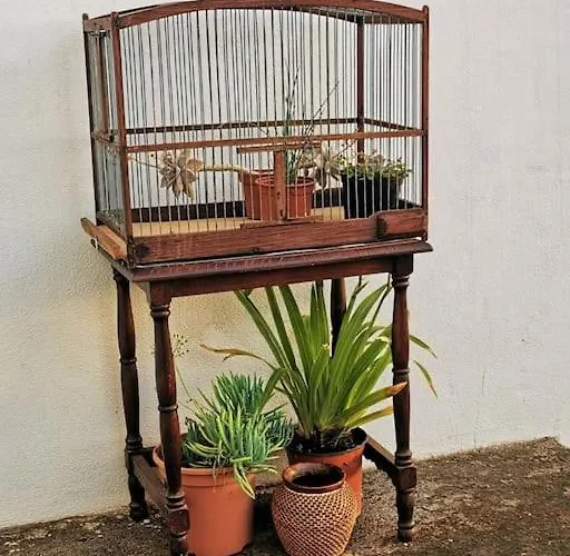 Casa Entre Vinedos Semesterbostad