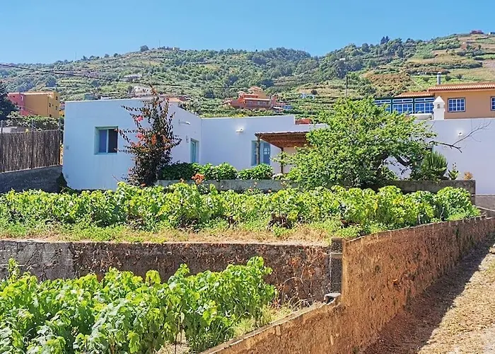 Casa Entre Vinedos Semesterbostad Santa Cruz de Tenerife