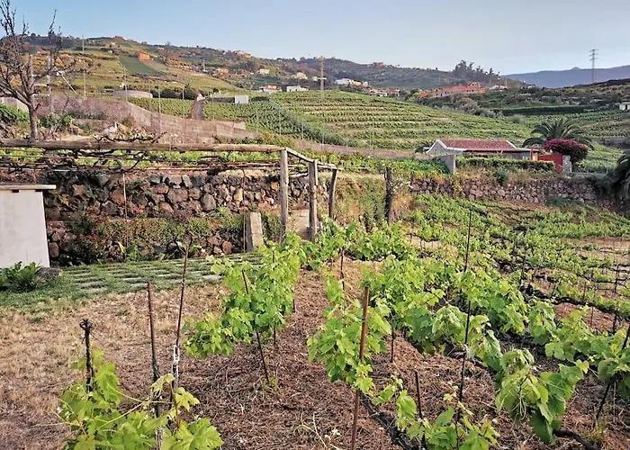 Semesterbostad Casa Entre Vinedos