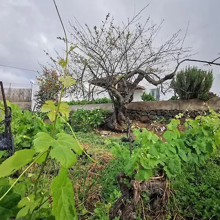 Casa Entre Vinedos Ferienhaus Santa Cruz de Tenerife