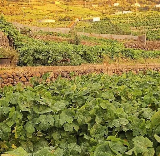Casa de Férias Casa Entre Vinedos Santa Cruz de Tenerife