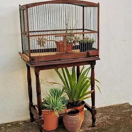 Casa Entre Vinedos Дом отдыха