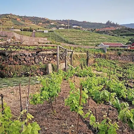 بيت للعطل Casa Entre Vinedos