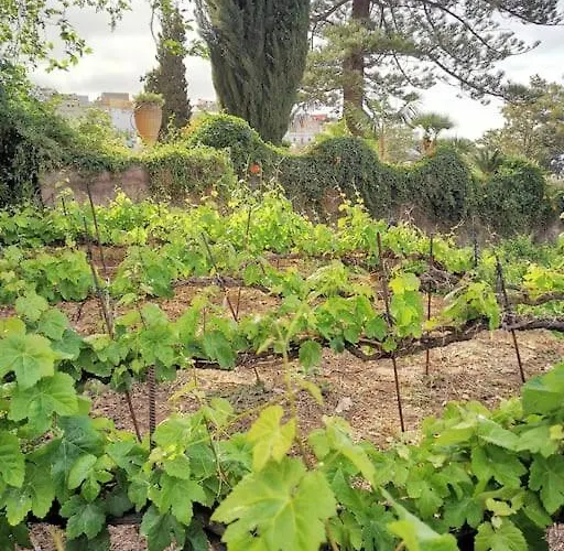 Casa Entre Vinedos Ferienhaus *