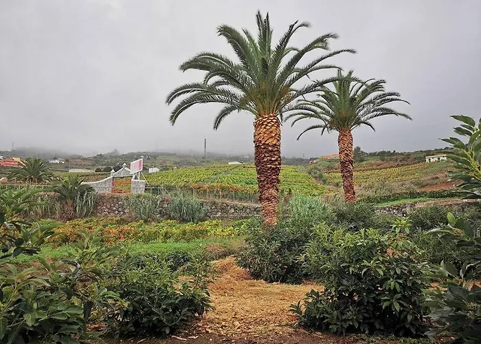 Casa Entre Vinedos Ferienhaus