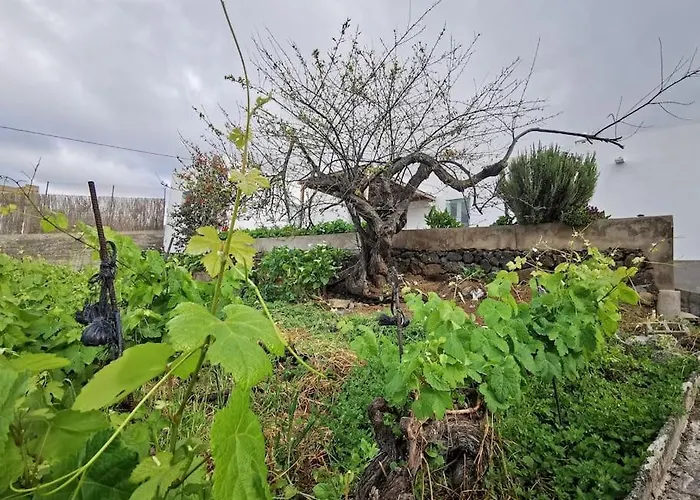 Casa Entre Vinedos Ferienhaus Santa Cruz de Tenerife