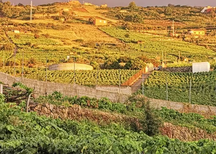 Casa Entre Vinedos * 圣克鲁斯-德特内里费