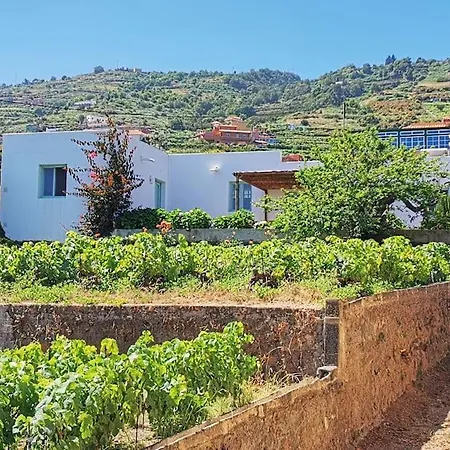 Casa Entre Vinedos Semesterbostad Santa Cruz de Tenerife