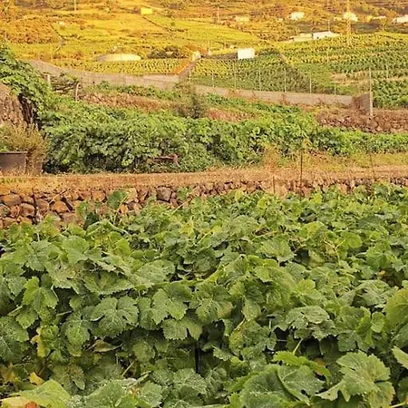 別荘 Casa Entre Vinedos サンタクルスデテネリフェ