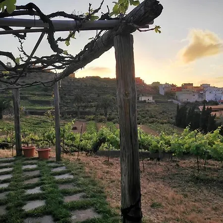 Casa Entre Vinedos * サンタクルスデテネリフェ