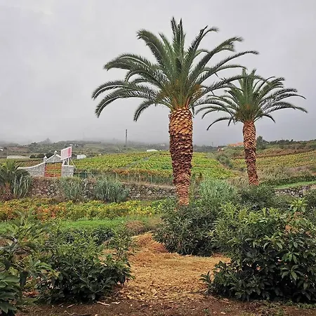 Casa Entre Vinedos Semesterbostad